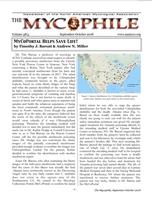 The Mycophile 58.5 September October 2018 cover