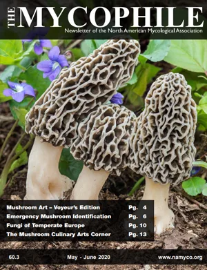 The Mycophile 60.3 May June 2020 cover