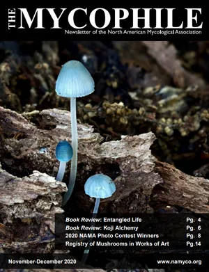 The Mycophile 60.6 November December 2020 cover