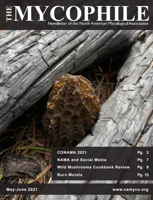 The Mycophile 61.3 May June 2021 cover