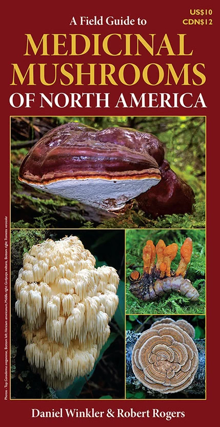 A Field Guide to Medicinal Mushrooms of North America book cover