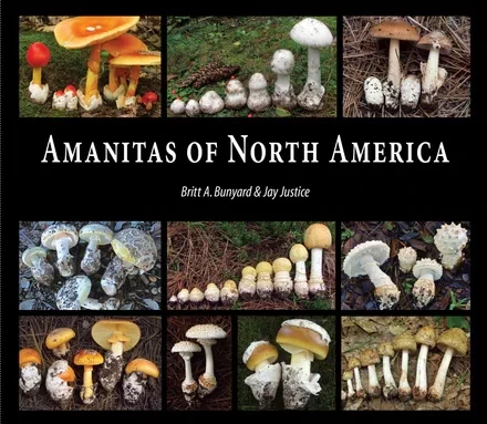 Amanitas of North America book cover