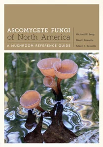 Ascomycete Fungi of North America A Mushroom Reference Guide book cover