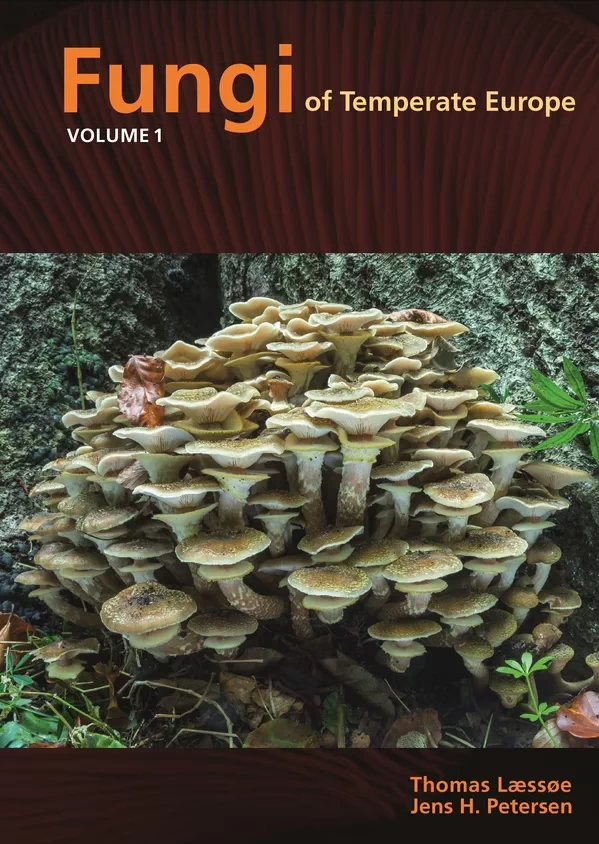 Fungi of Temperate Europe book cover
