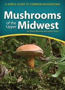 Mushrooms of the Upper Midwest A Simple Guide to Common Mushrooms book cover