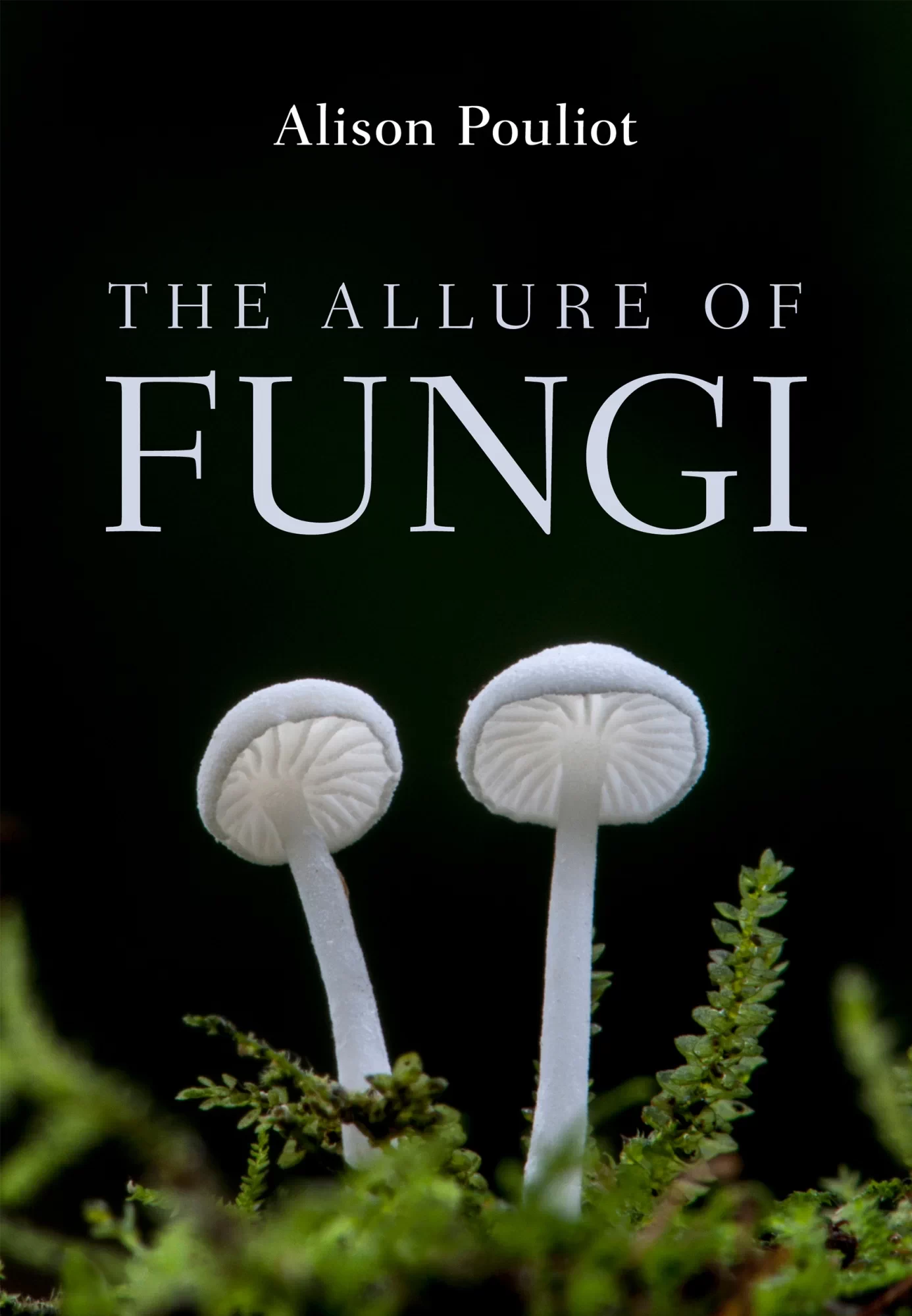 The Allure of Fungi book cover