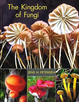 The Kingdom of Fungi book cover