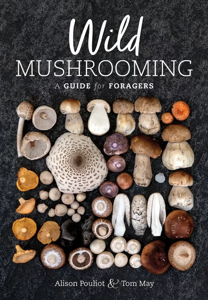 Wild Mushrooming A Guide for Foragers book cover