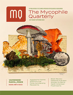 NAMA Mycophile Q3 Cover