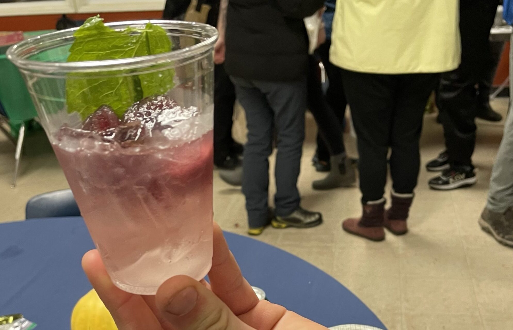 Host Defence Elderberry Plus Ice Cubes