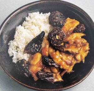 Wild Mushroom Safety: Identification, Cooking, and Poison Awareness
