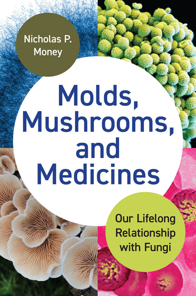 molds mushrooms and medicines