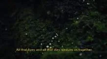 Dark green forest scene from Daughters of the Forest