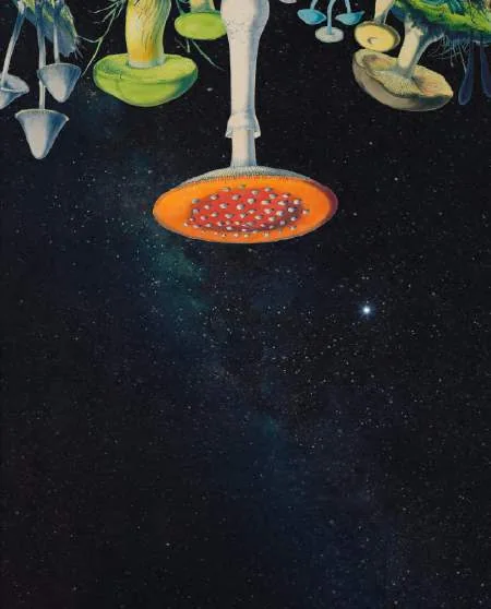 Daughters of the Forest film artwork featuring mushrooms against a starry background