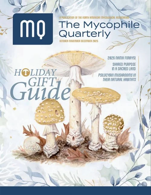 The Mycophile Holiday Guide 2025